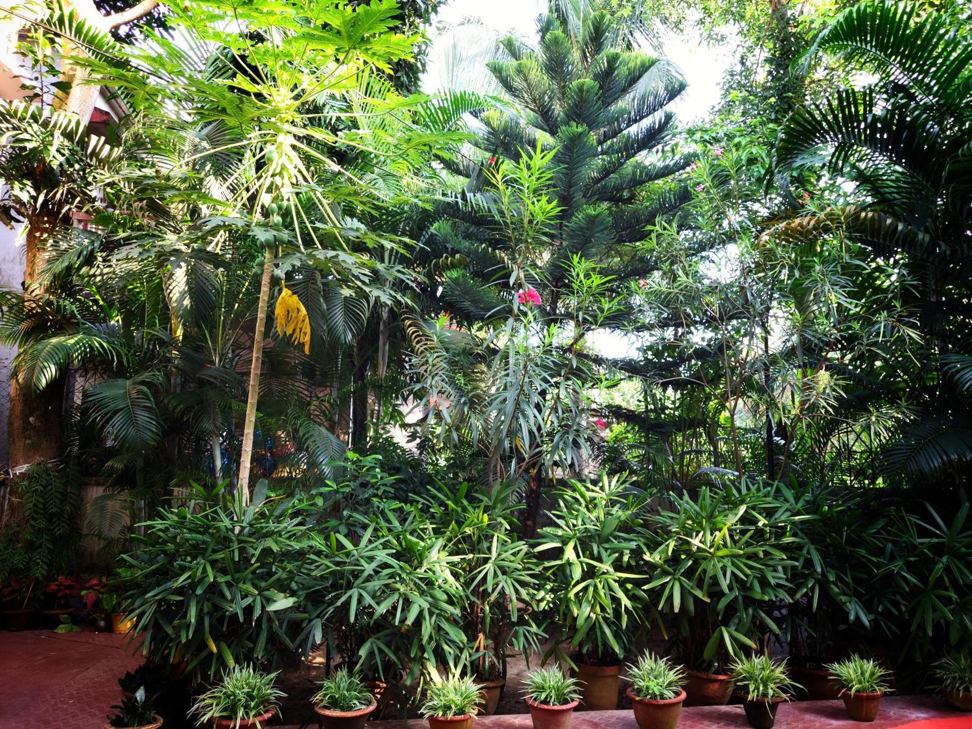 Chaiti Eco Homestay- Santiniketan Bolpur Exterior photo